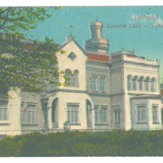 657 - JIMBOLIA, Timis, Castle, Romania - old postcard - used - 1924