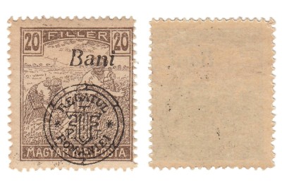 EMISIUNEA ORADEA 1919 SUPRATIPAR REGATUL ROMANIEI SECERATORI 20 FILLER MNH foto