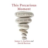 This Precarious Moment