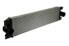 Radiator intercooler NISSAN INTERSTAR caroserie (X70) (2002 - 2016) THERMOTEC DAR002TT