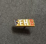 Insigna - Federatia de Handbal din FRANTA