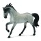 Armasar Murg Andaluz Sur 1:12 Collecta