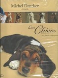 Les Chiens - Nos fideles companons