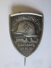 Insignă Germania nazistă Nurnberg 1933:Numai unitatea te face puternic, Europa