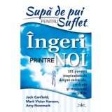 Supa de Pui pentru Suflet. Ingeri Printre noi. 101 Povesti inspirationale despre miracole, credinta si rugaciuni ascultate - Jack Canfield, Mark Victo