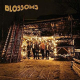 Blossoms | Blossoms, Rock, virgin records