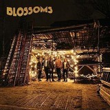 Blossoms | Blossoms, Rock, virgin records