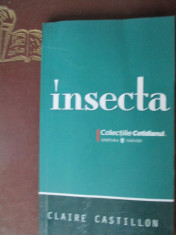 Insecta foto