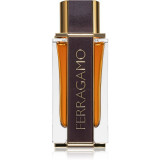 Salvatore Ferragamo Ferragamo Spicy Leather Eau de Parfum pentru bărbați 100 ml