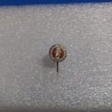 Insigna Amicii Clubului Dinamo