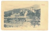 5717 - SINAIA, Prahova, Train in the Railway Station, Litho, Romania - old postcard - unused