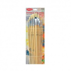Pensula set 10 par porc DACO PN10 foto