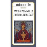 Minunile icoanei &quot;Maica Domnului Potirul nesecat&quot;. Traducere: Gheorghita Ciocioi