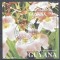 Guyana 1991 Orchids perf sheet Mi.130 used L.115