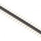 Şir pini tată 20 pini 2,54mm THT aurit