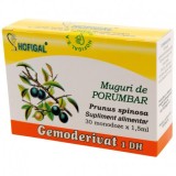 Gemoderivat Muguri Porumbar Hofigal 30mdz