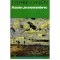 Josephine Johnson - Acum, in noiembrie - 112575