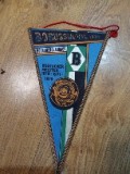 Fanion Fotbal Germania 1970