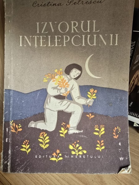 Izvorul Intelepciunii - Cristina Petrescu