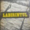 Labirintul Francisc Pacurariu