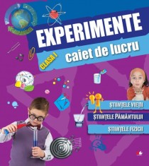 Experimente clasa 1 caiet de lucru, Litera