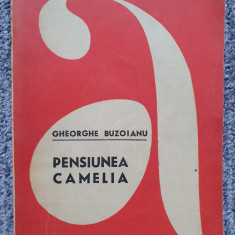 Gheorghe Buzoianu - Pensiunea Camelia , 1970, 260 pag