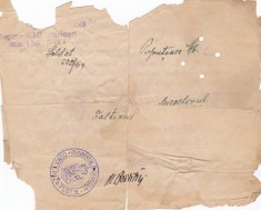 AMS @ - BILET DE VOIE, REGIMENTUL 3 GRANICERI, JUD. FĂLTICENI, ANUL 1924, stare precara