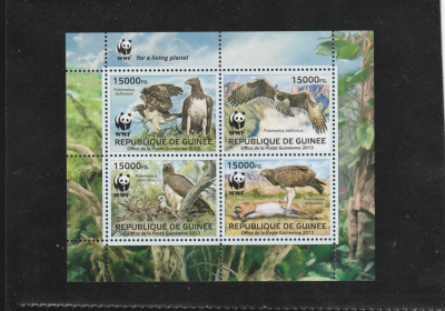 Guinea 2013-WWF,Fauna,Pasari,Vultur Martial,Serie 4 val.in bloc,Mi.9865-9868KB I foto