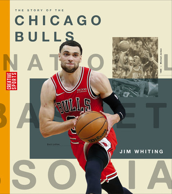The Story of the Chicago Bulls foto