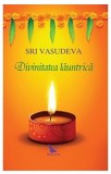 Divinitatea launtrica | Sri Vasudeva