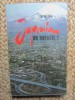 Japonia un miracol ? - Florea Tuiu