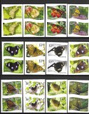 NIUAFO&#039;OU 2012 FAUNA INSECTE FLUTURI NEDANTELAT