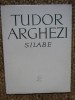 Tudor Arghezi - Silabe (Editia: 1965), Didactica si Pedagogica
