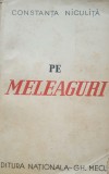 Pe fagasul vietii - Constanta Niculita - Pe meleaguri