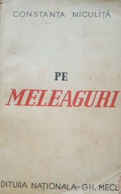 Pe fagasul vietii - Constanta Niculita - Pe meleaguri foto