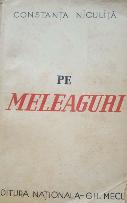 Pe fagasul vietii - Constanta Niculita - Pe meleaguri