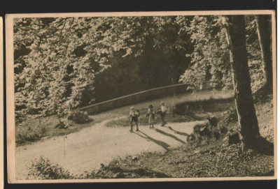 CPIB 15521 CARTE POSTALA - DRUM SPRE POIANA STALIN (POIANA BRASOV), RPR, 1955 foto