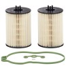 Set filtre combustibil Mann pentru VW Phaeton, Touareg