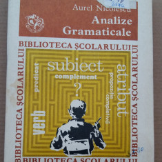 (C491) AUREL NICOLESCU - ANALIZE GRAMATICALE