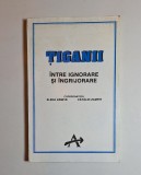 Țiganii &icirc;ntre ignorare și &icirc;ngrijorare &ndash; Coord. Elena Zamfir, Cătălin Zamfir, Ed. Alternative, 1993