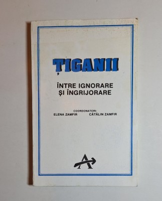Țiganii &amp;icirc;ntre ignorare și &amp;icirc;ngrijorare &amp;ndash; Coord. Elena Zamfir, Cătălin Zamfir, Ed. Alternative, 1993 foto