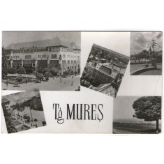 1955 - Targu Mures, mozaic (jud. Mures)