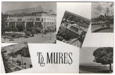 1955 - Targu Mures, mozaic (jud. Mures) foto