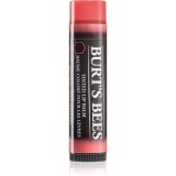 Burt&rsquo;s Bees Tinted Lip Balm balsam de buze culoare Rose 4.25 g