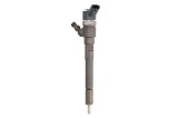 Injector HYUNDAI SANTA FE II (CM) (2005 - 2012) BOSCH 0 445 110 253