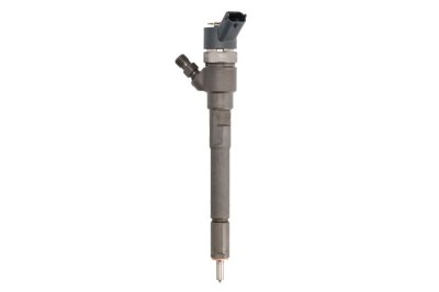 Injector HYUNDAI SANTA FE II (CM) (2005 - 2012) BOSCH 0 445 110 253 foto