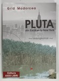 PLUTA din BADALAN LA NEW YORK de GRID MODORCEA, 2012
