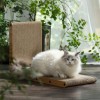Ansamblu Joacă Pisici L Maro, 60cm, Carton+MDF+Sisal, cu Jucărie Interactivă, Kit Montare, Chinchilla
