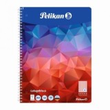 CAIET A4 120 FILE PATRATELE PELIKAN