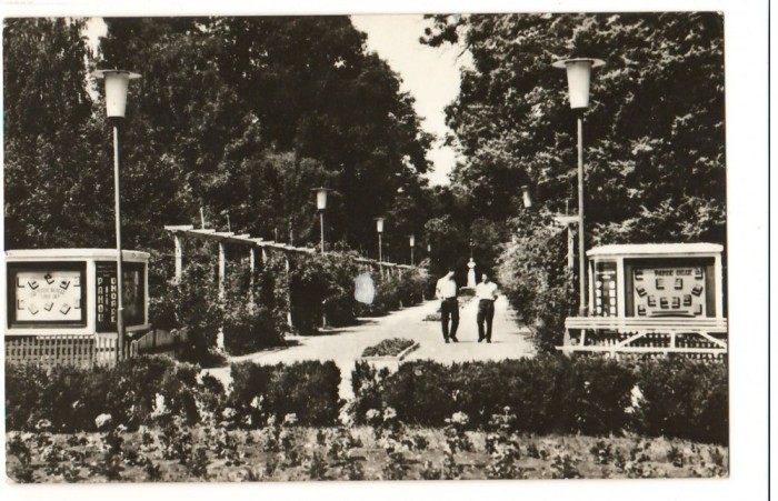 CPI B 10845 CARTE POSTALA - BUZUAS, VEDERE DIN PARC